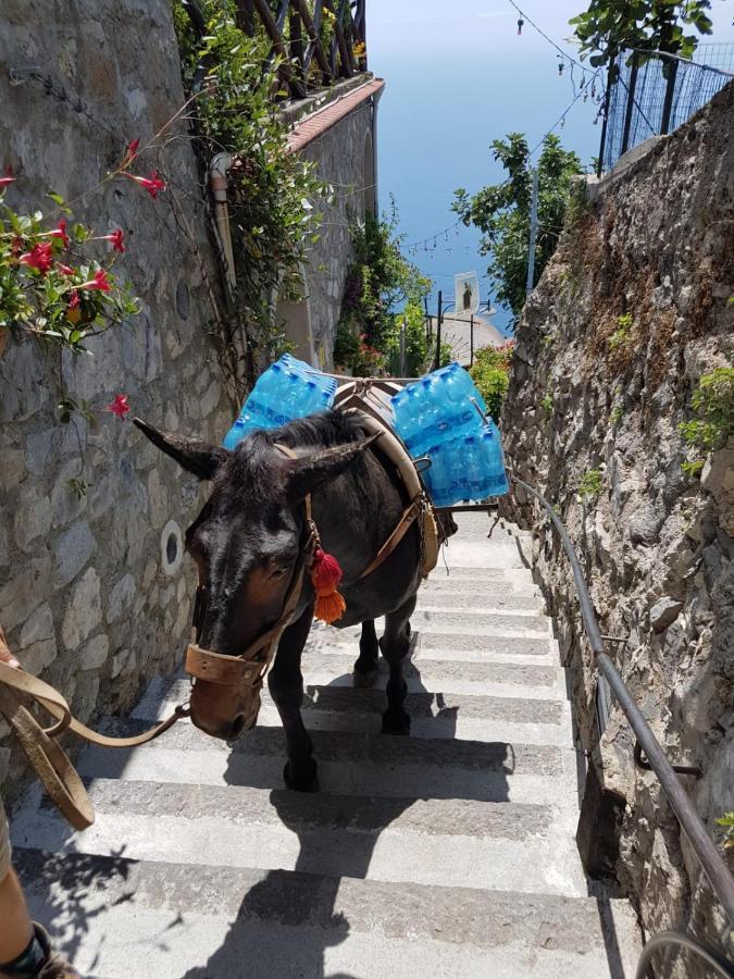 Estate4Home - Goat Path Ποζιτάνο Εξωτερικό φωτογραφία